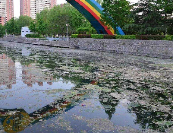 城鎮(zhèn)黑臭水體治理